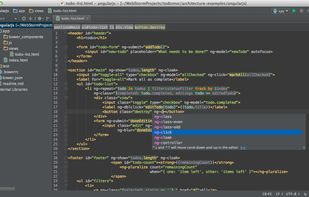 WebStorm screenshot 1