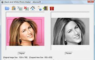 Abonsoft Black And White Photo Maker screenshot 1