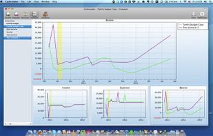 Cashculator screenshot 1
