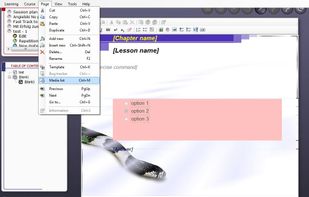 SuperMemo UX for Windows (3)