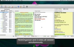 TopXNotes screenshot 1