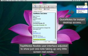 TopXNotes screenshot 1