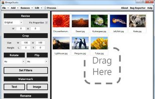 BImageStudio screenshot 1