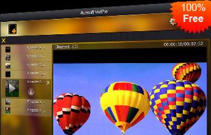 Aunsoft VidPie screenshot 1