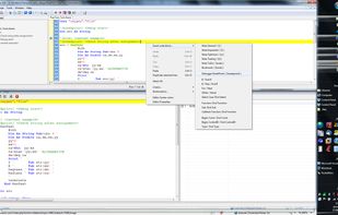 thinBasic Programming Language screenshot 2