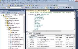Microsoft SQL Server screenshot 1