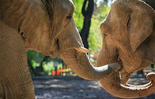 card karma screenshot 1