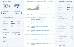 Chartbeat screenshot 1