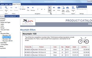 Telerik Reporting Report Preview