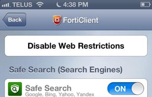 FortiClient Endpoint Protection screenshot 2