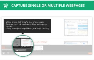 Capture single or multiple webpages