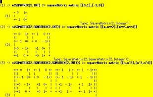 Matrix within a Matrix
