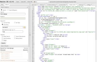 Search/Replace tool executing a directory search.