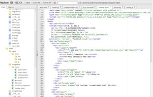 Editing multiple files with file browser on left.