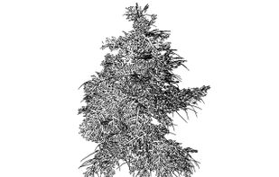 Freestyle screenshot 3