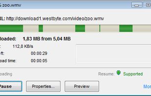 File downloading information window