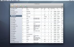 MDB ACCDB Viewer screenshot 1