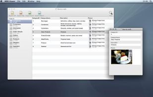 MDB ACCDB Viewer screenshot 1