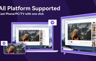 1001 TVs Screen Mirroring screenshot 1