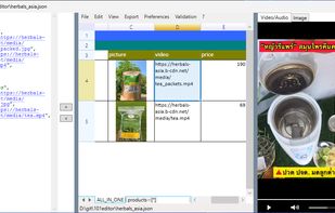 The embedded VLC control can play linked media files within the application.