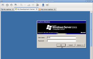 Remmina screenshot 2