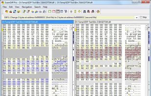 Binary file comparison.