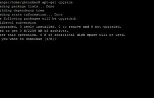 Updating Packages (apt-get upgrade)