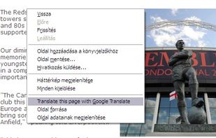 Google Translator for Firefox screenshot 1