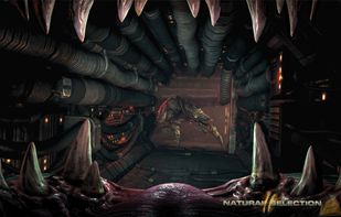 Natural Selection screenshot 1