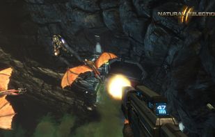 Natural Selection screenshot 1