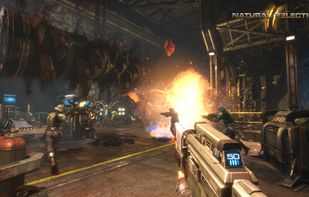 Natural Selection screenshot 2