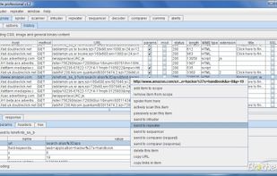 Burp Suite screenshot 1