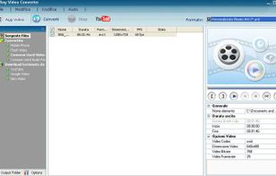 Any Video Converter screenshot 1