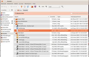 Contents of a CuePlay Music Directory