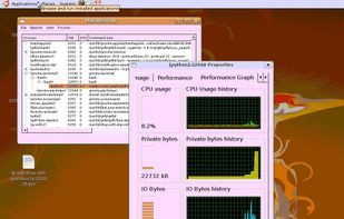 Linux process explorer on ubuntu