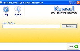 Kernel for SQL Password Recovery screenshot 1