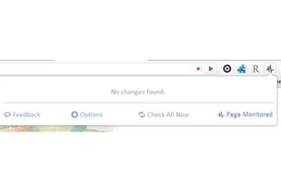 Page Monitor screenshot 1