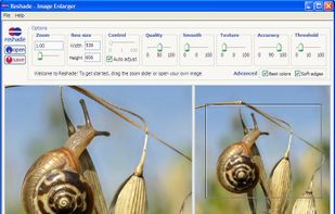 Reshade: Image Resizing screenshot 1