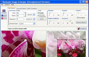 Reshade: Image Resizing screenshot 1