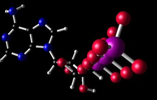Example visualisation of ATP.