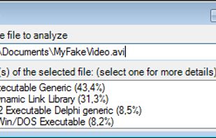 CodecInstaller screenshot 3