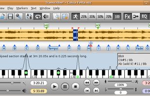 Transcribe! screenshot 1