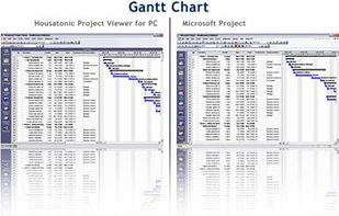 Similarities between the Housatonic Project Viewer and Microsoft Project  are visible in the screenshots.