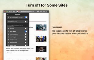 1Blocker screenshot 2