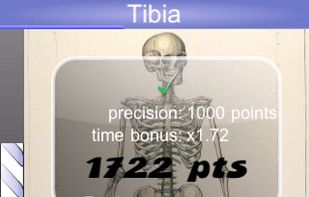 Speed Anatomy screenshot 2