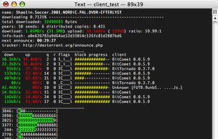 libtorrent screenshot 1
