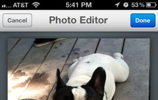 Aviary Photo Editor screenshot 1