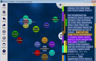 Quirkos screenshot 1