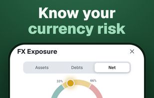 Currency exposure: a gauge rating how much net worth sits outside the home currency, a proportional map of each currency and asset, and a per-currency list with amounts and share.