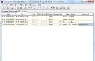 Timesage Timesheets screenshot 1